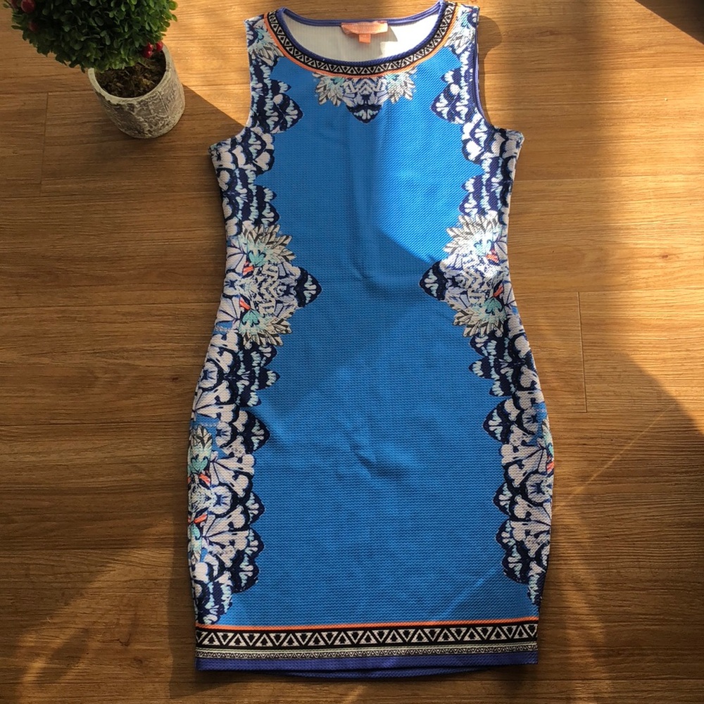 Blue Printed Fitted Dress